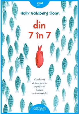 Din 7 in 7