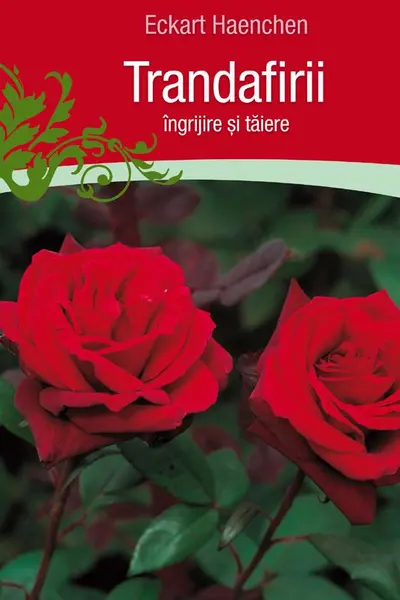 Trandafirii: Ingrijire si taiere