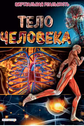 Тело человека. Виртуальная реальность