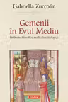 Gemenii in Evul Mediu