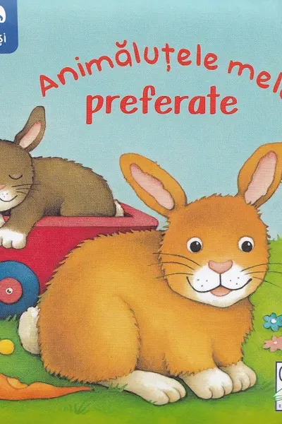 Animalutele mele preferate