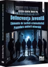 Delincventa juvenila. Elemente de tactica criminalistica. Procedura audierii minorului