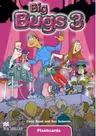 Big Bugs 3 Flashcards