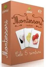 Carti de joc Montessori. Cele 5 simturi