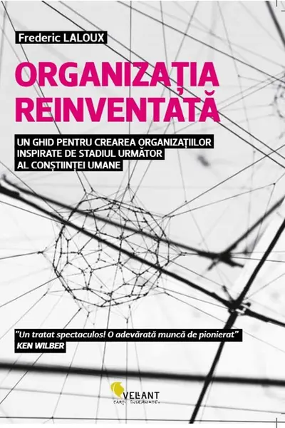 Organizatia reinventata
