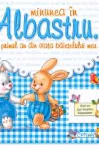 Minunea in Albastru - Primul an din viata baietelului meu
