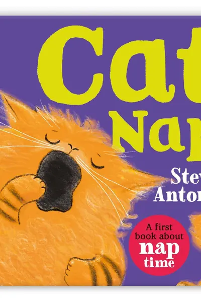Cat Nap