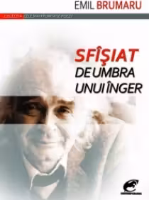 Sfîsiat de umbra unui inger