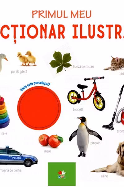 PRIMUL MEU DICTIONAR ILUSTRAT. Bebe invata