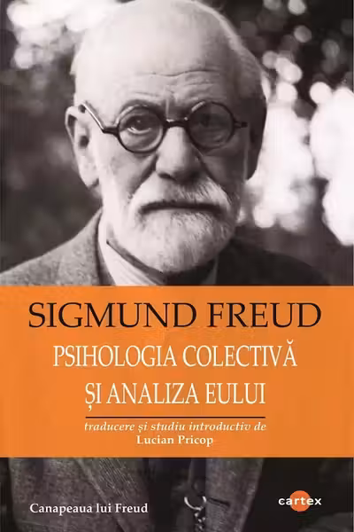 Psihologia colectiva si analiza Eului