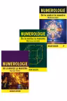 Seria Numerologie de la novice la maestru - Naran Gheser. Set 3 carti