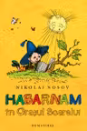 Habarnam in Orasul Soarelui