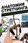 Анатомия стретчинга с дополненной реальностью