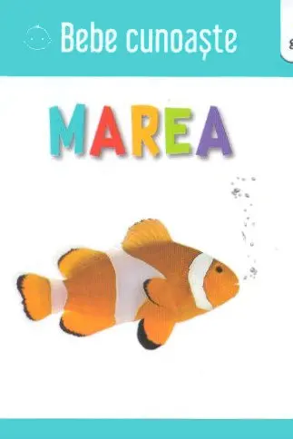 Marea