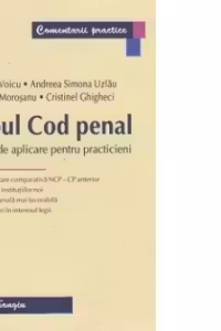 Noul Cod penal. Ghid de aplicare pentru practicieni