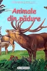 Animale din padure. Flamingo
