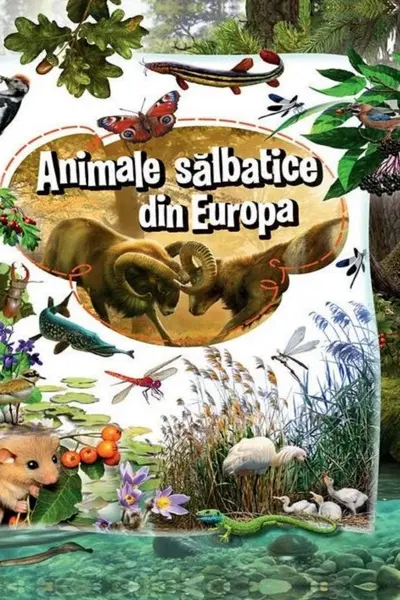 Animale sălbatice din Europa