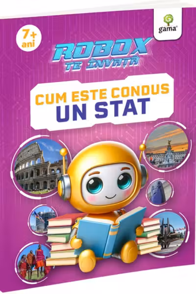 Cum este condus un stat