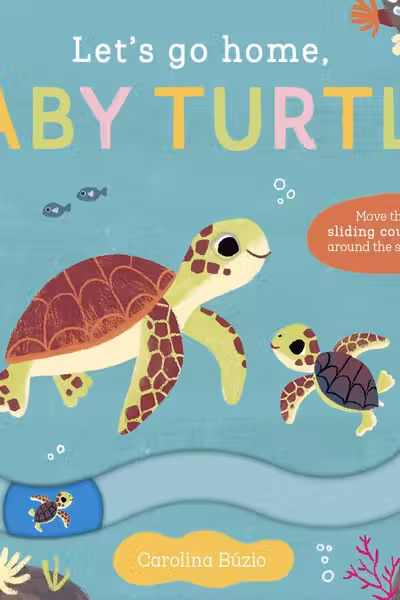 Baby Turtle