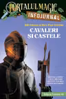 Cavaleri si castele