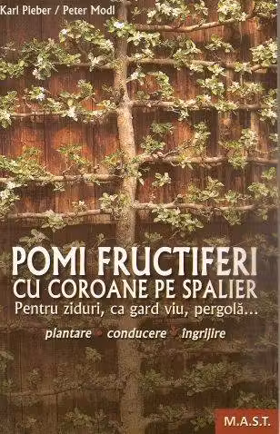 Pomi fructiferi cu coroane pe spalieri