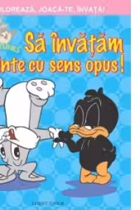 Sa invatam cuvintele cu sens opus
