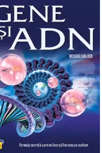 Gene si ADN