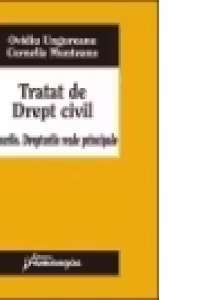 Tratat de Drept civil. Bunurile. Drepturile reale principale