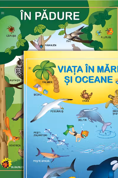 Plansa in padure Viata in mari si oceane