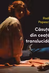 Casuta din ceata translucida
