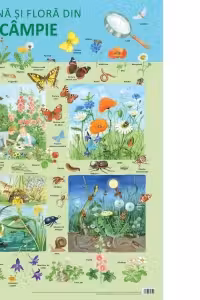Plansa - Fauna si flora din campie
