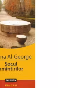 Socul amintirilor
