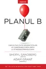 Introspectiv. PLANUL B.