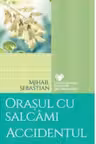CFRD. Orasul cu salcamiI. Accidentul.