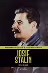 Iosif Stalin. Volumul 4. Protagonisti ai celui de-al Doilea Razboi Mondial