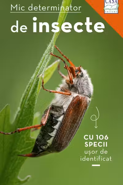 Mic determinator de insecte