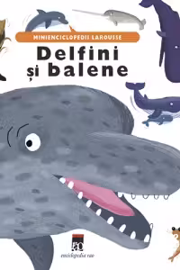 Delfini și balene