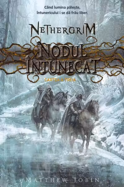 Nodul întunecat. Seria Nethergrim. Vol.3