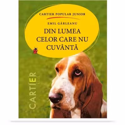Din lumea celor care nu cuvântă