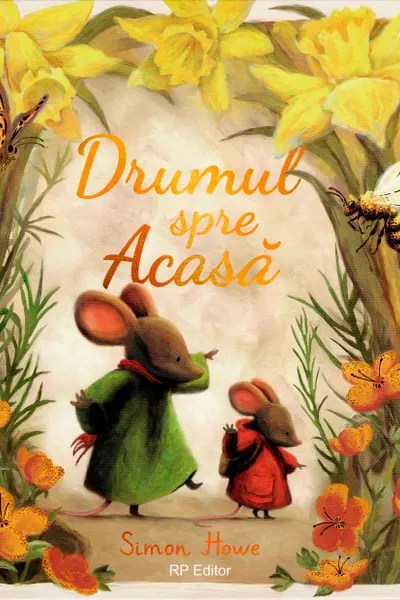 Drumul spre acasa