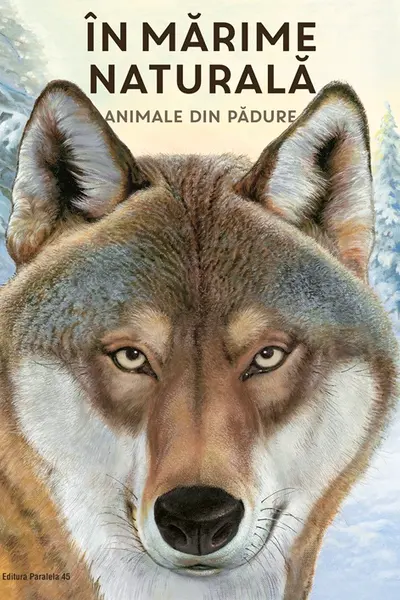 Animale din padure