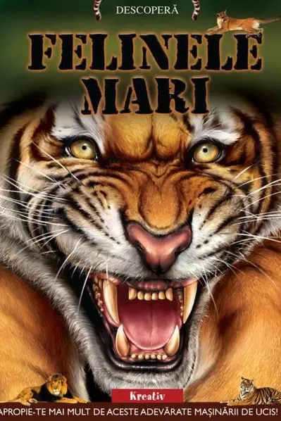 Felinele mari