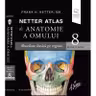 Netter Atlas de Anatomie a Omului ed.8