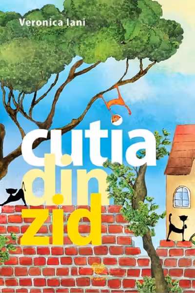 Cutia din zid
