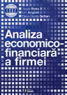 Analiza economico-financiara a firmei - Vasile Robu, Ion Anghel, Elena Claudia Serban