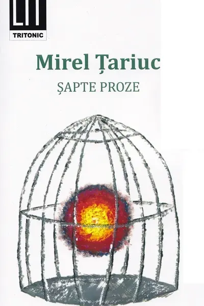 Șapte proze