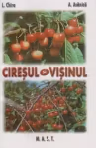 Ciresul si visinul - L. Chira, A. Asanica
