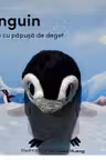 Carte cu papusa de deget. Pinguin