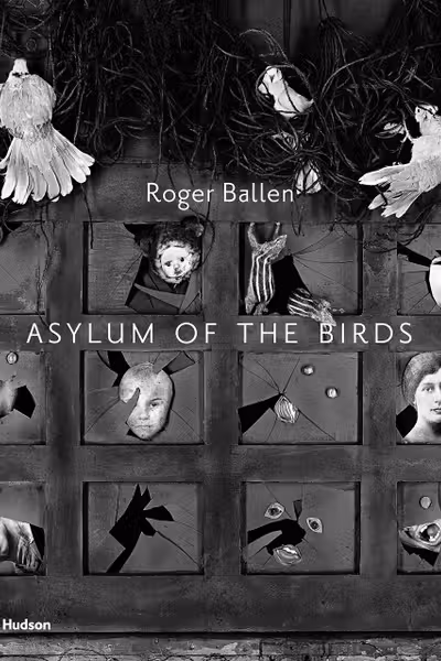 Asylum of the Birds