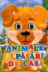 Ochisori. Animale si pasari de casa